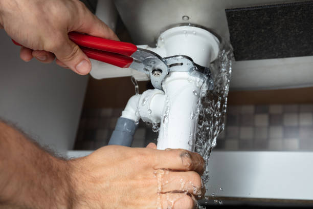 Best Water damage restoration mold remediation  in South Amherst, OH