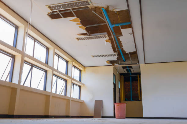 Best Fire Damage Restoration  in South Amherst, OH