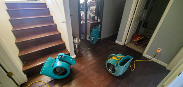 Sewage cleanup and water damage restoration in South Amherst, OH