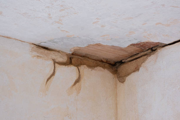 Best 24/7 water damage repair  in South Amherst, OH