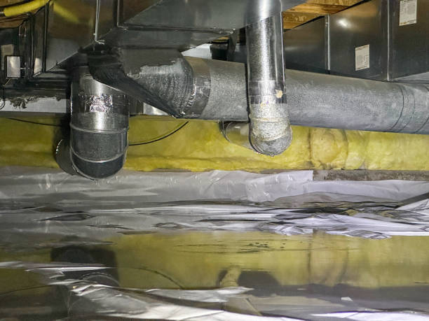 Best Carpet water damage restoration  in South Amherst, OH
