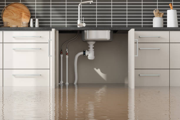 Best Mold removal after water damage  in South Amherst, OH